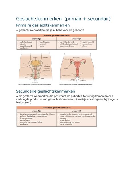 Geslachtskenmerken